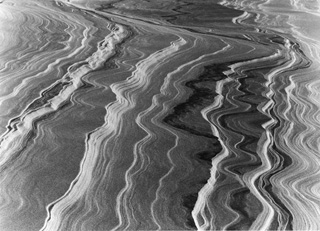 DuneAbstractI_2010_small.jpg