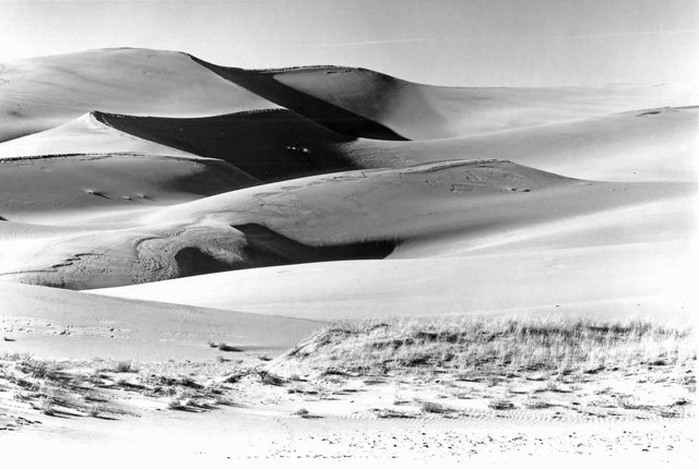 DuneII_2010.jpg